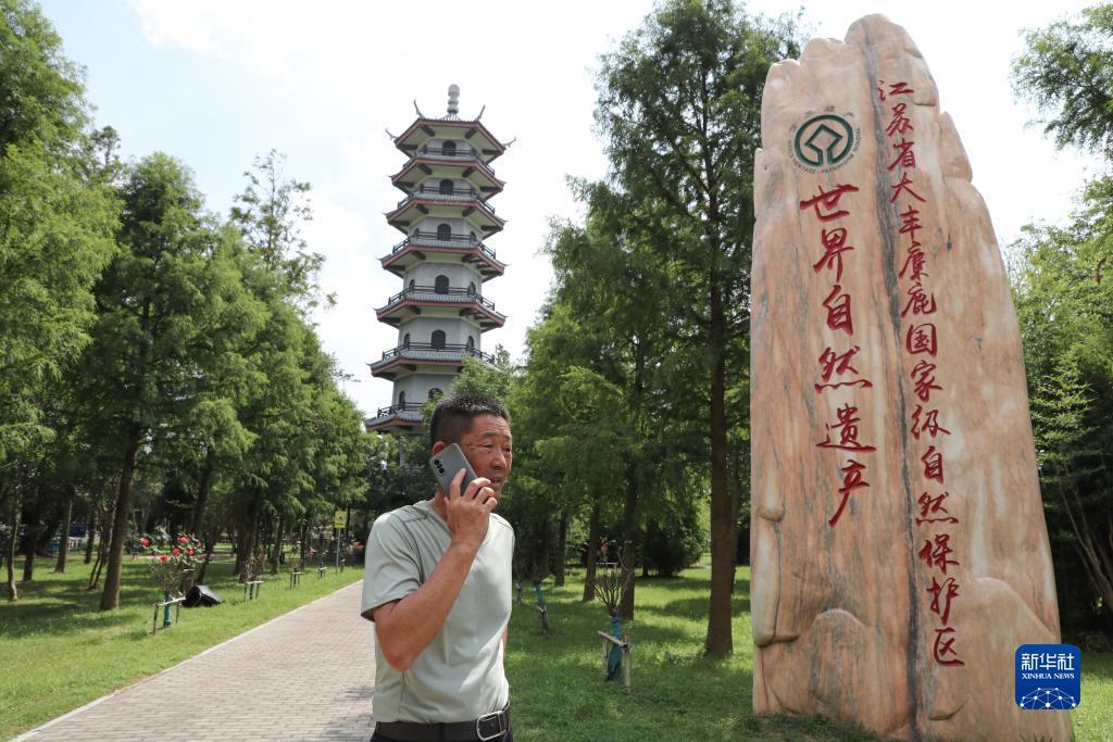 申请送彩金id不限制